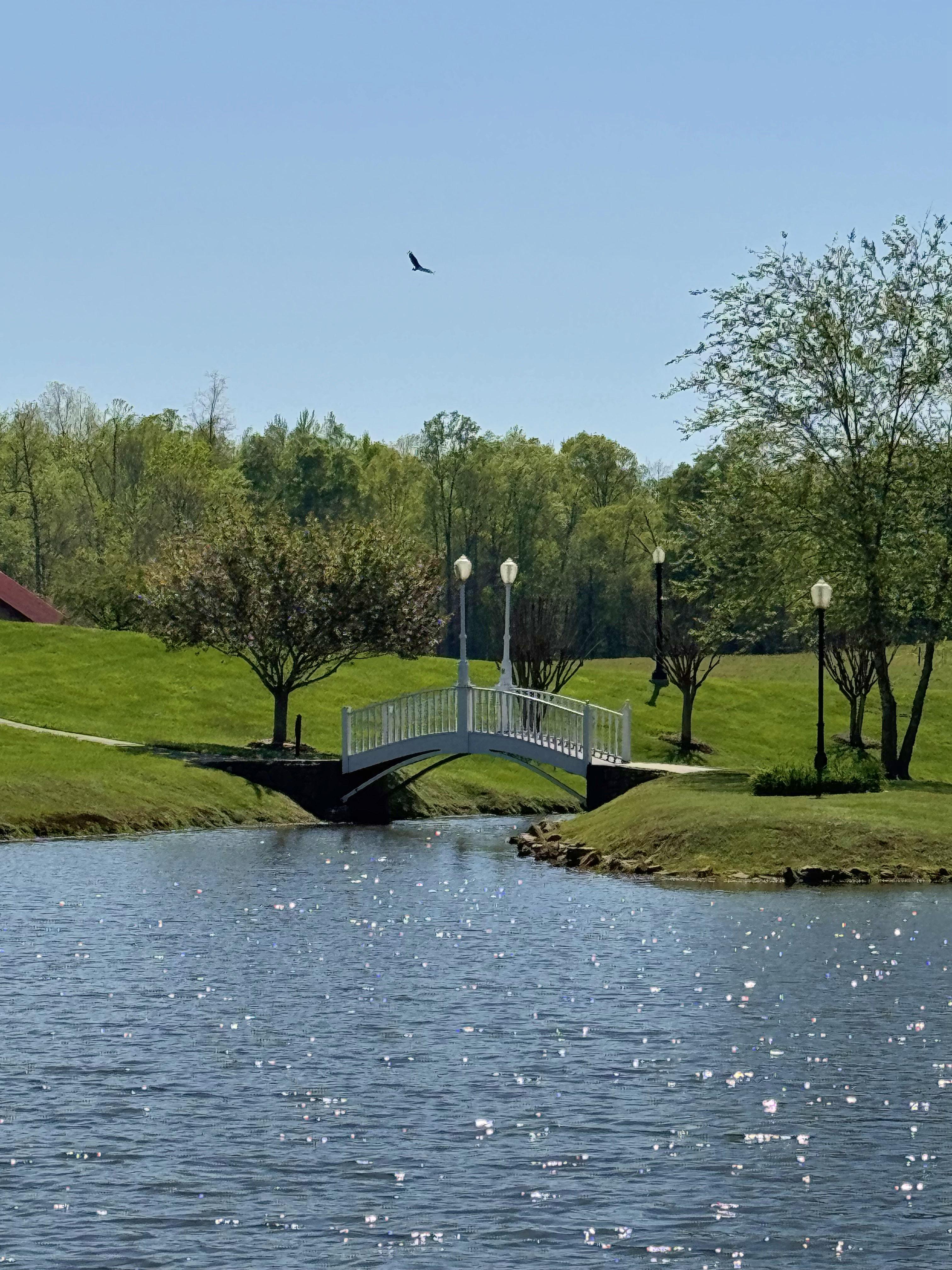 The Wedding Website of Wendy Gonzalez and Flavio Sabaleta