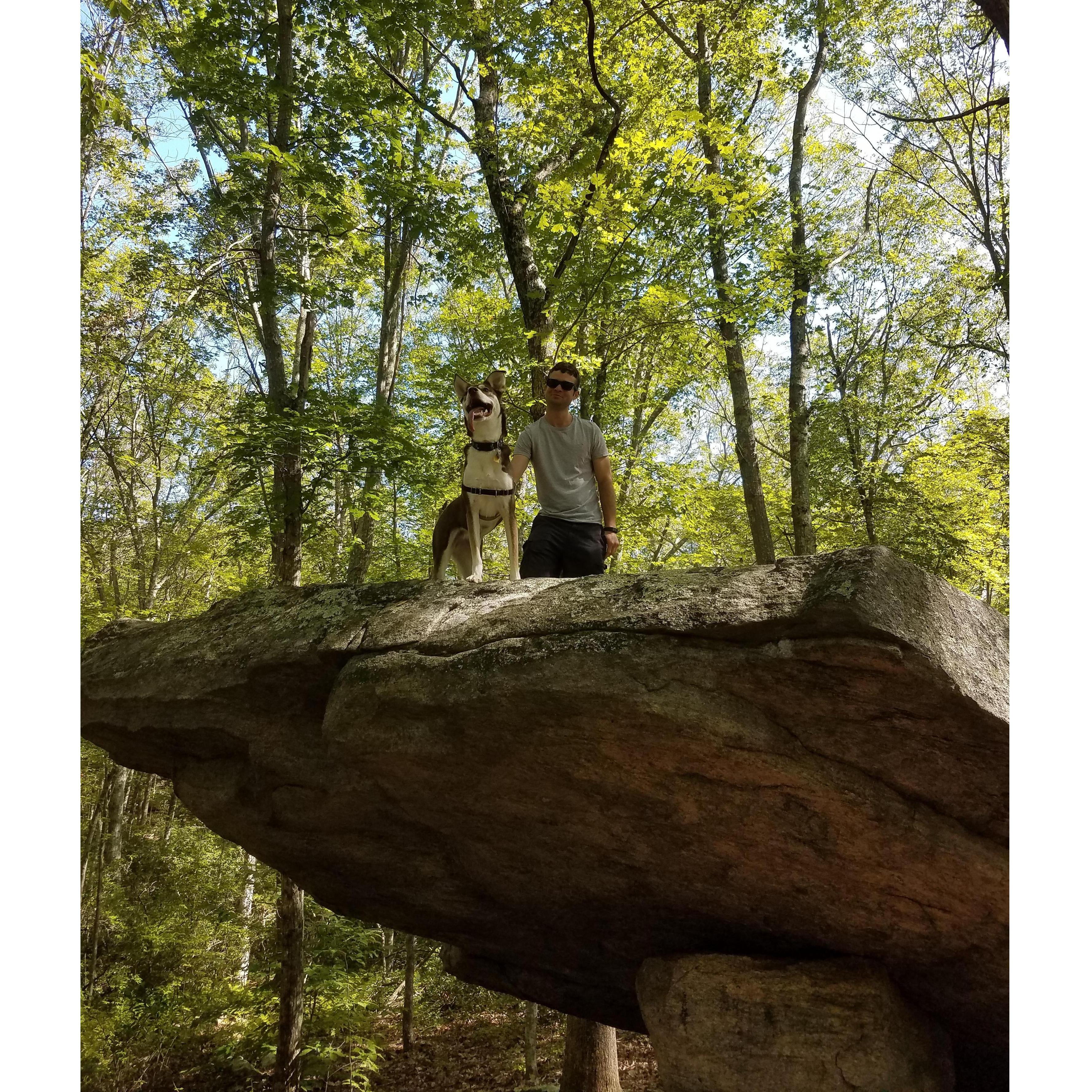 CT had so many places to hike and explore the woods!