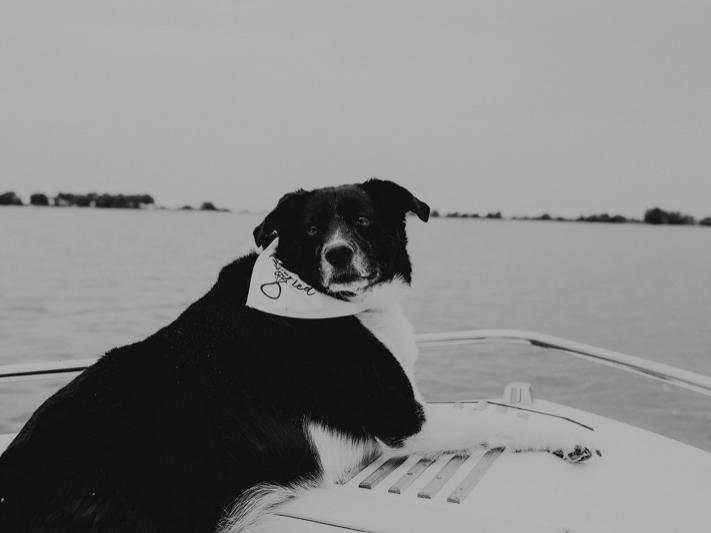 The Wedding Website of Lindsey Hobbs and Kevin Settle