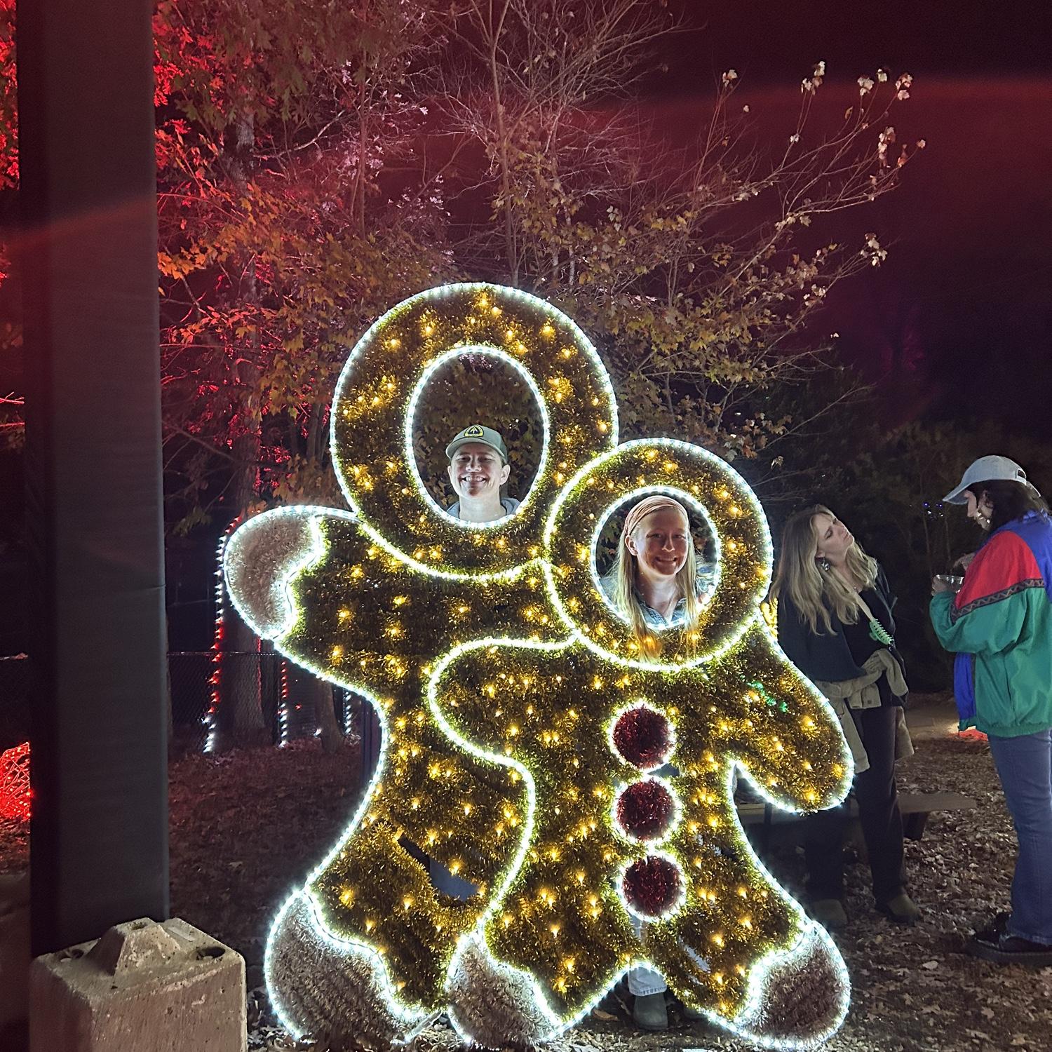 Greensboro zoo lights
