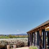 Yarra Valley Dairy
