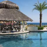Bars & swim up bars