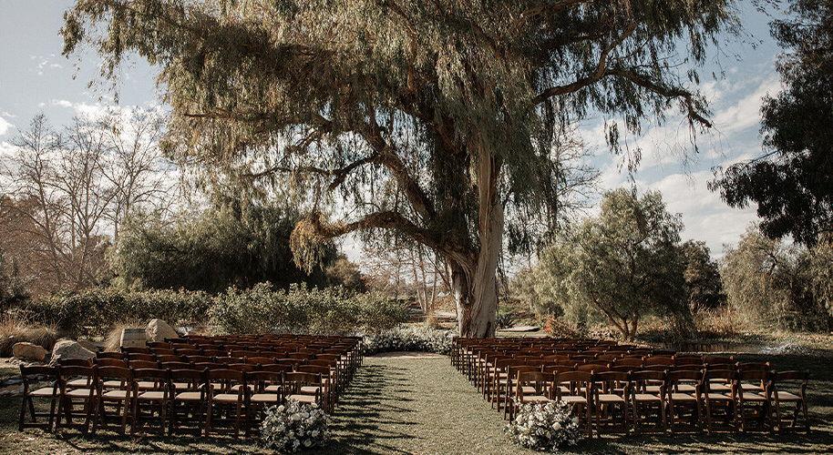 The Wedding Website of Rachel Hong and Joseph Kim