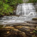 Pisgah National Forest