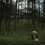 Camp John Hay Forest