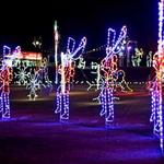 Night of Lights Walking display