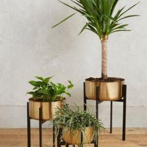 Rossum Metallic Plant Stand