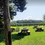 McCall Wines