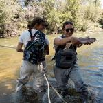Fishing the South Platte River