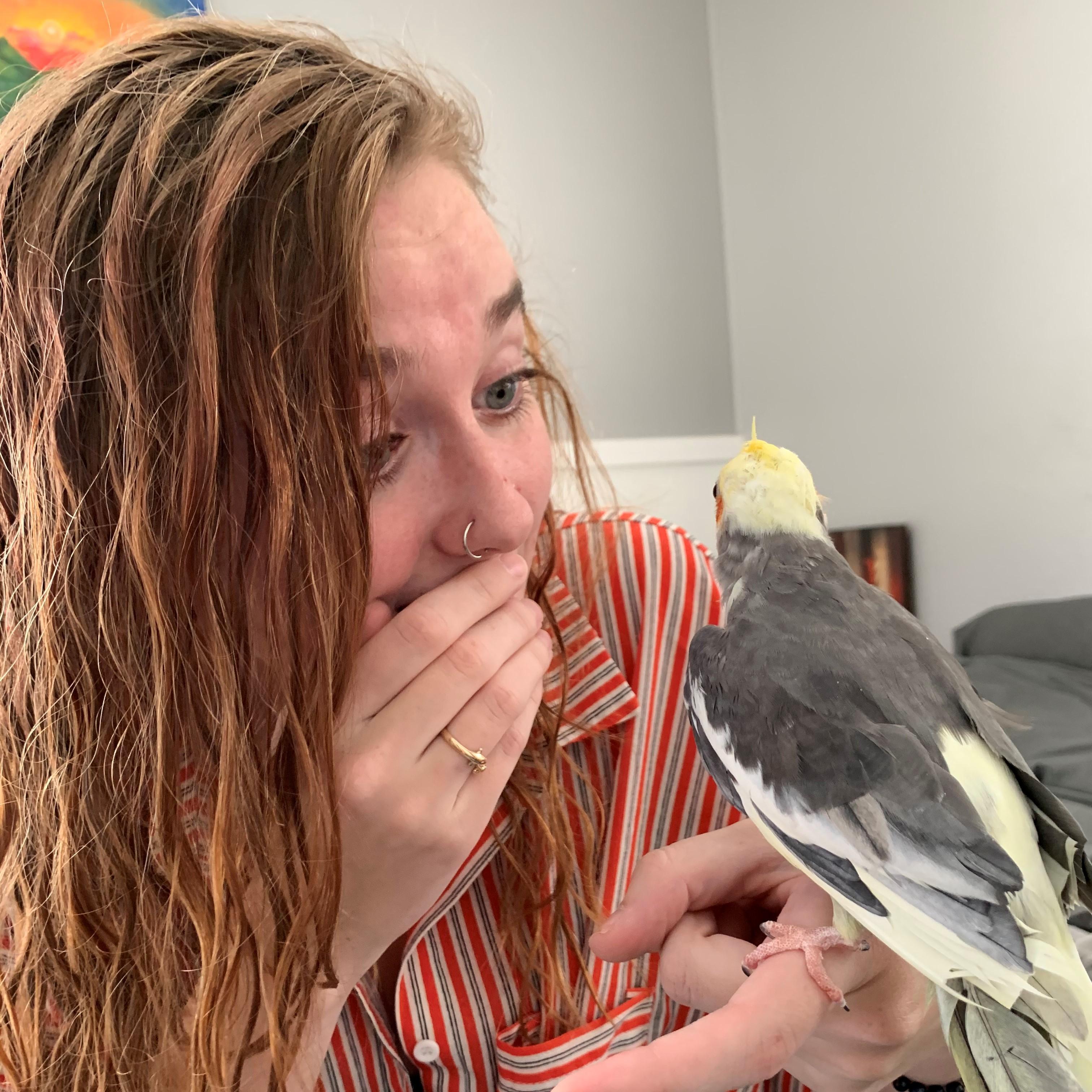Shannon's surprise Christmas/birthday present. A new bird!