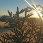 Foothills Hiking