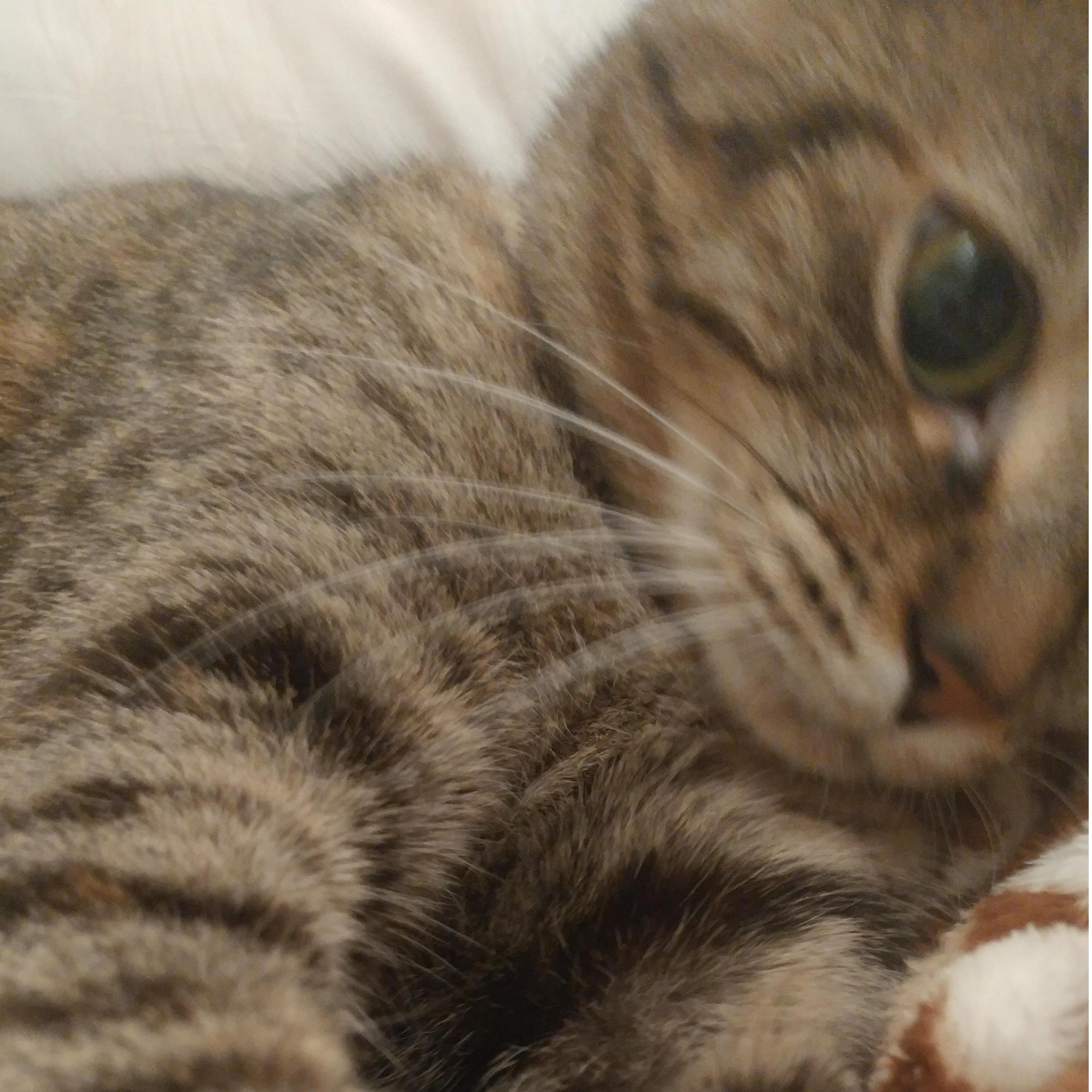 Our baby