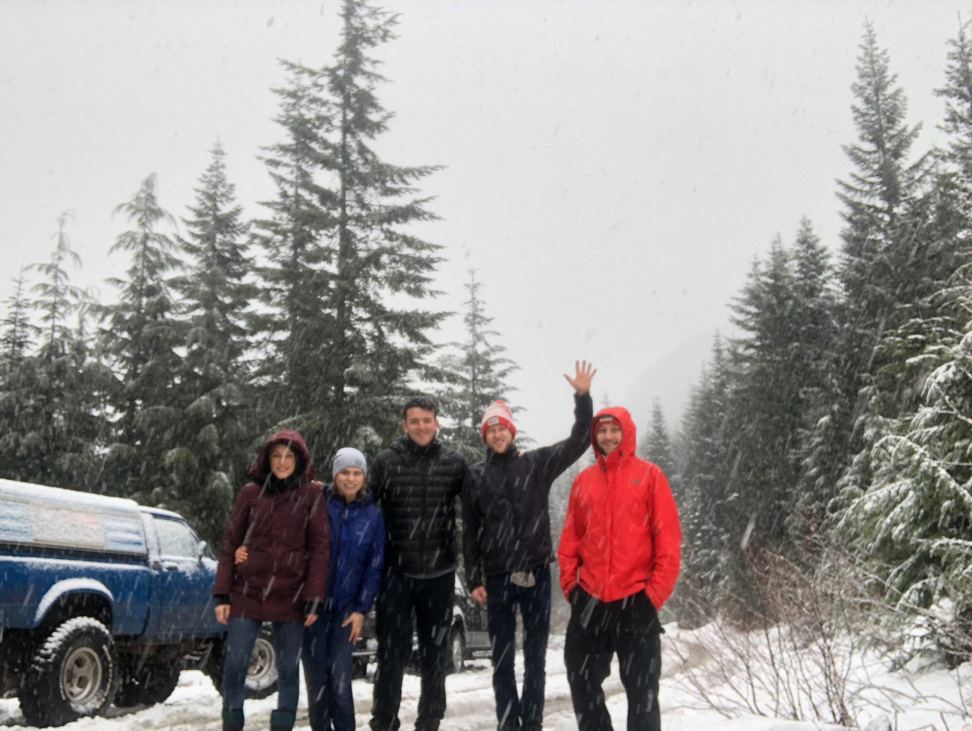 Christmas Tree Hunting, 2017