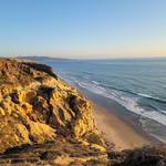 Torrey Pines State Natural Reserve