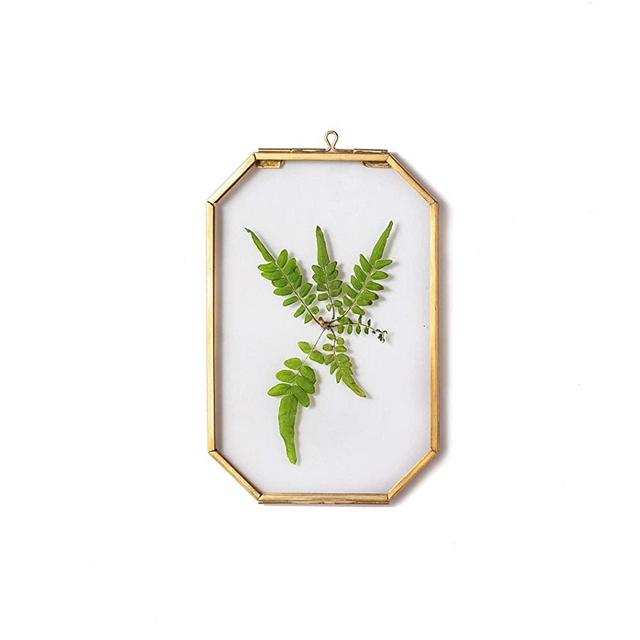 NCYP Wall Hanging 4X6 inches Long Octagon Herbarium Brass Glass Frame for Pressed Flowers, Dried Flowers, Poster, Double Glass, Floating Frame Style, Glass Frame only