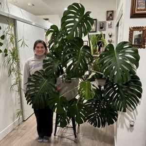 Our Growing Jungle