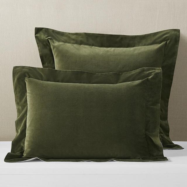 Classic Velvet Sham, Standard, Moss