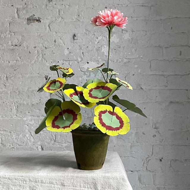 The Green Vase Potted Geranium