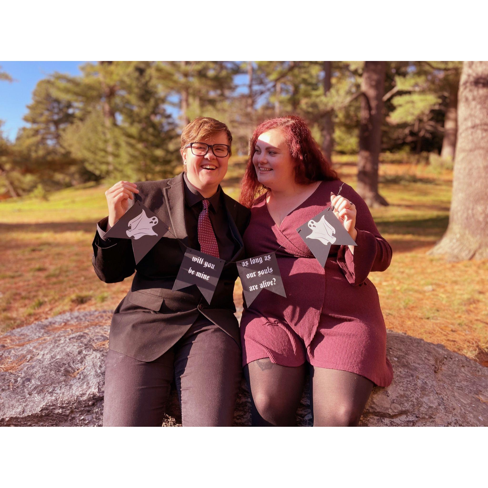A series of engagement photos taken by Ashley at a spot we stopped on our first date: The Arnold Arboretum.