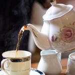 The Philosopher's House