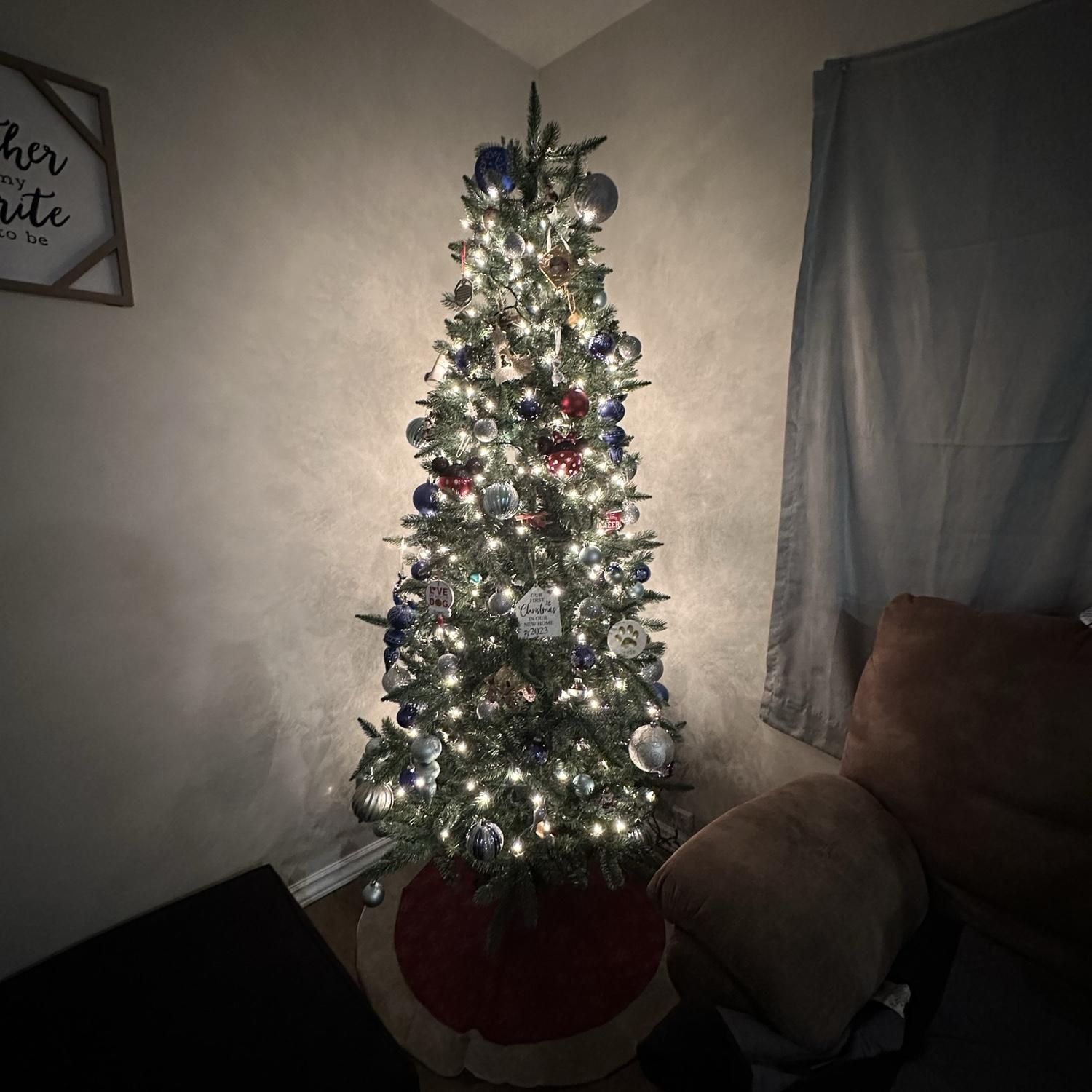 First Christmas Tree together