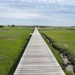 Sandwich Boardwalk