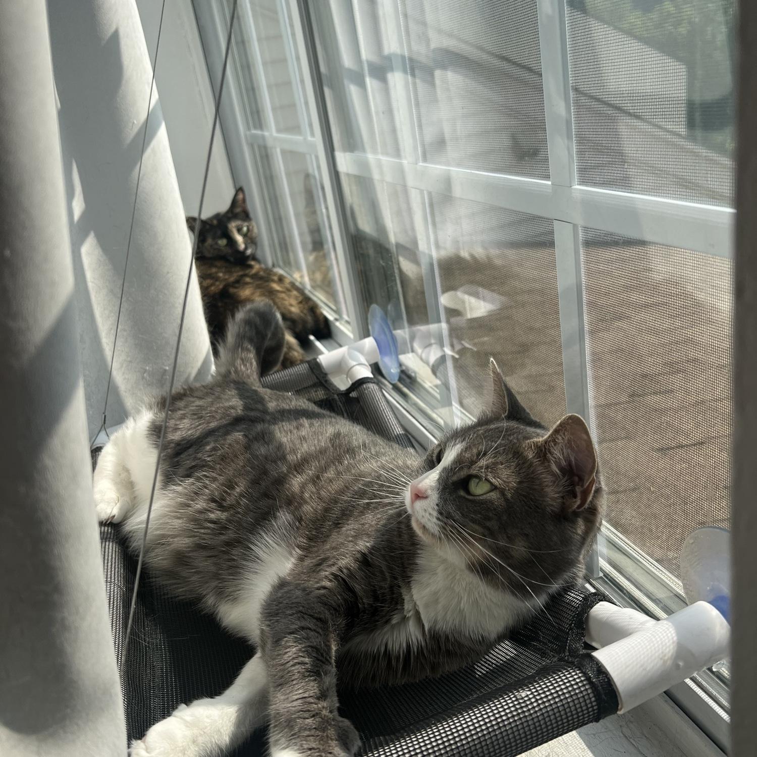 Our girls!