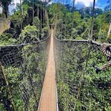 Kakum national park