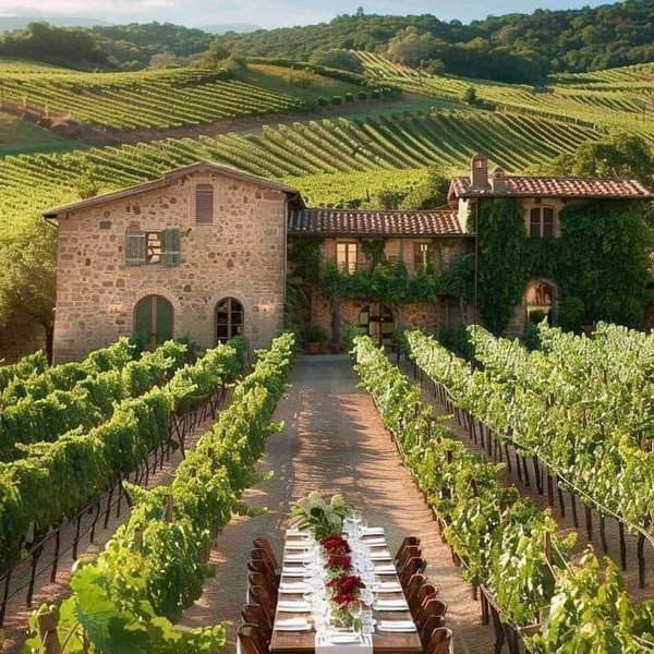 Tuscan Vineyard Tour