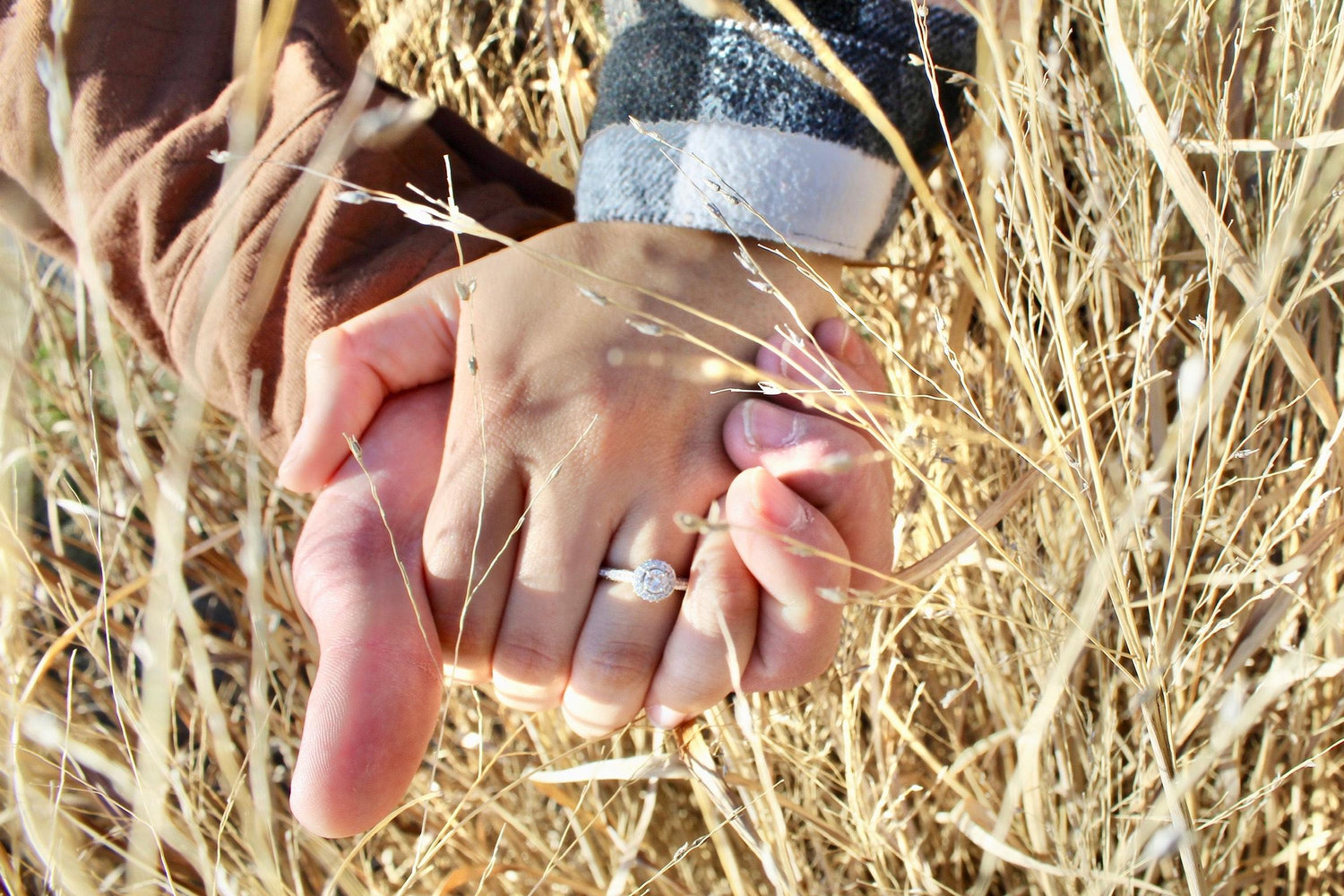 The Wedding Website of Briana Overly and Brett Brown