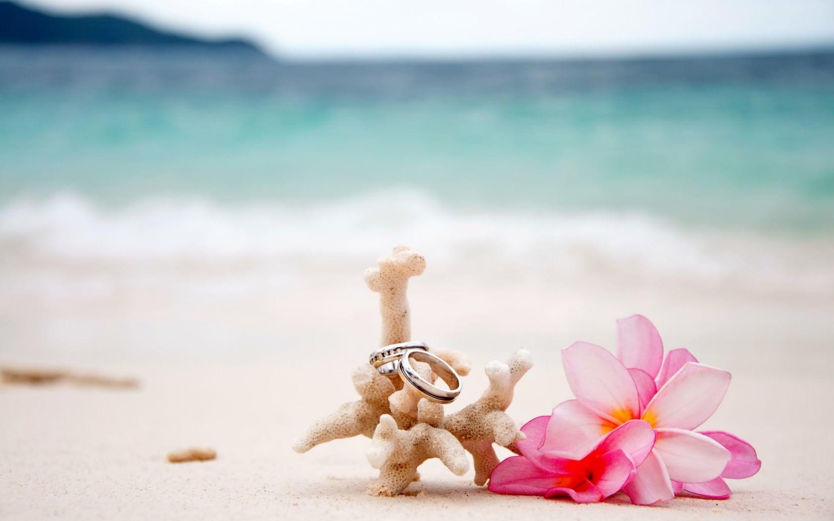 The Wedding Website of Viviane Aires and Dwayne Edghill