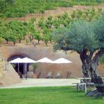 Bella Vineyards & Wine Caves