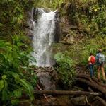 Gamboa Rainforest Reserve