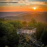 Bickle Knob Observation Tower