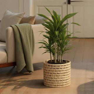 Handwoven Corn Leaf Waste Basket