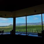 Edna Valley Vineyard
