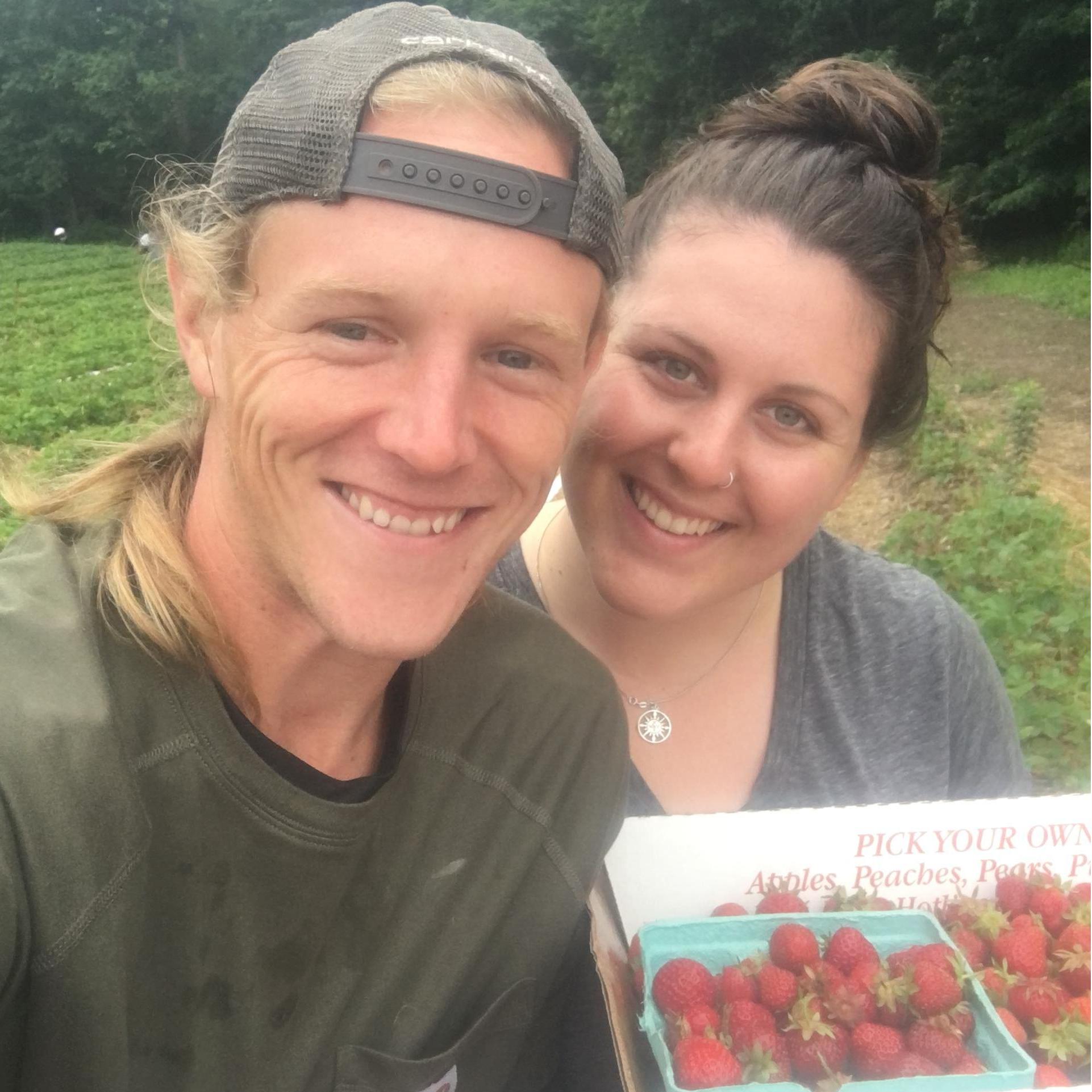 Strawberry picking in Northampton.