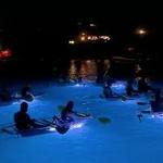 Night Kayak St Thomas
