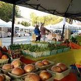 NSB Saturday Morning Farmers Market