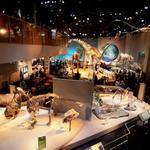 Perot Museum of Nature and Science