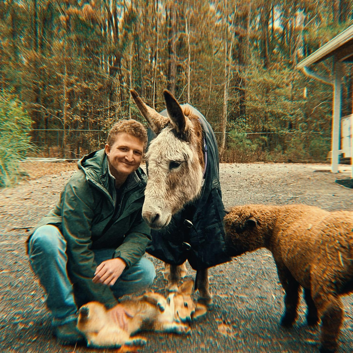 animals galore!