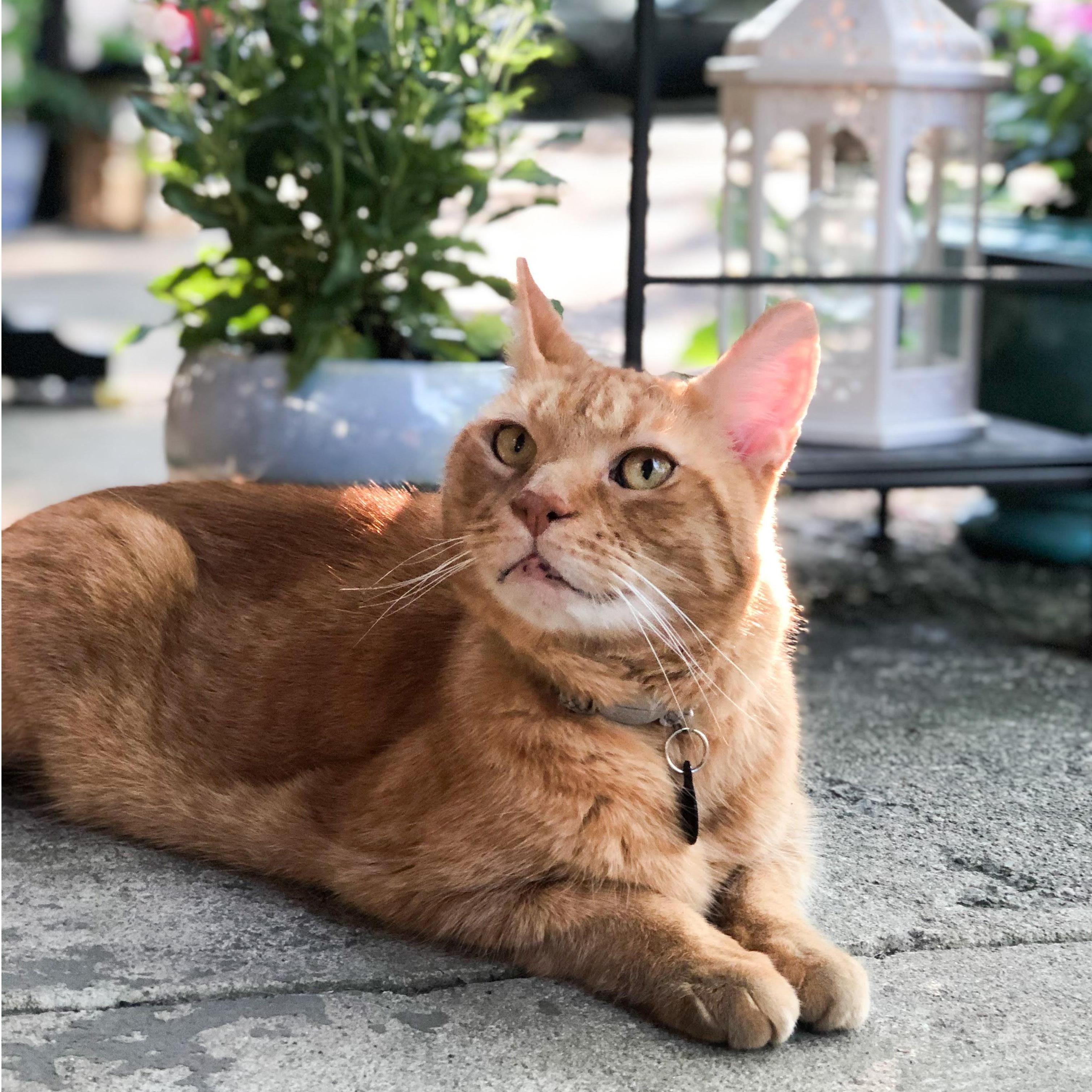 Summer 2020: Omar soaking up the sun!