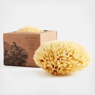 Large Wool Sponge