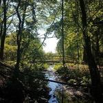Independence Oaks County Park