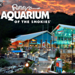 Ripley's Aquarium of the Smokies