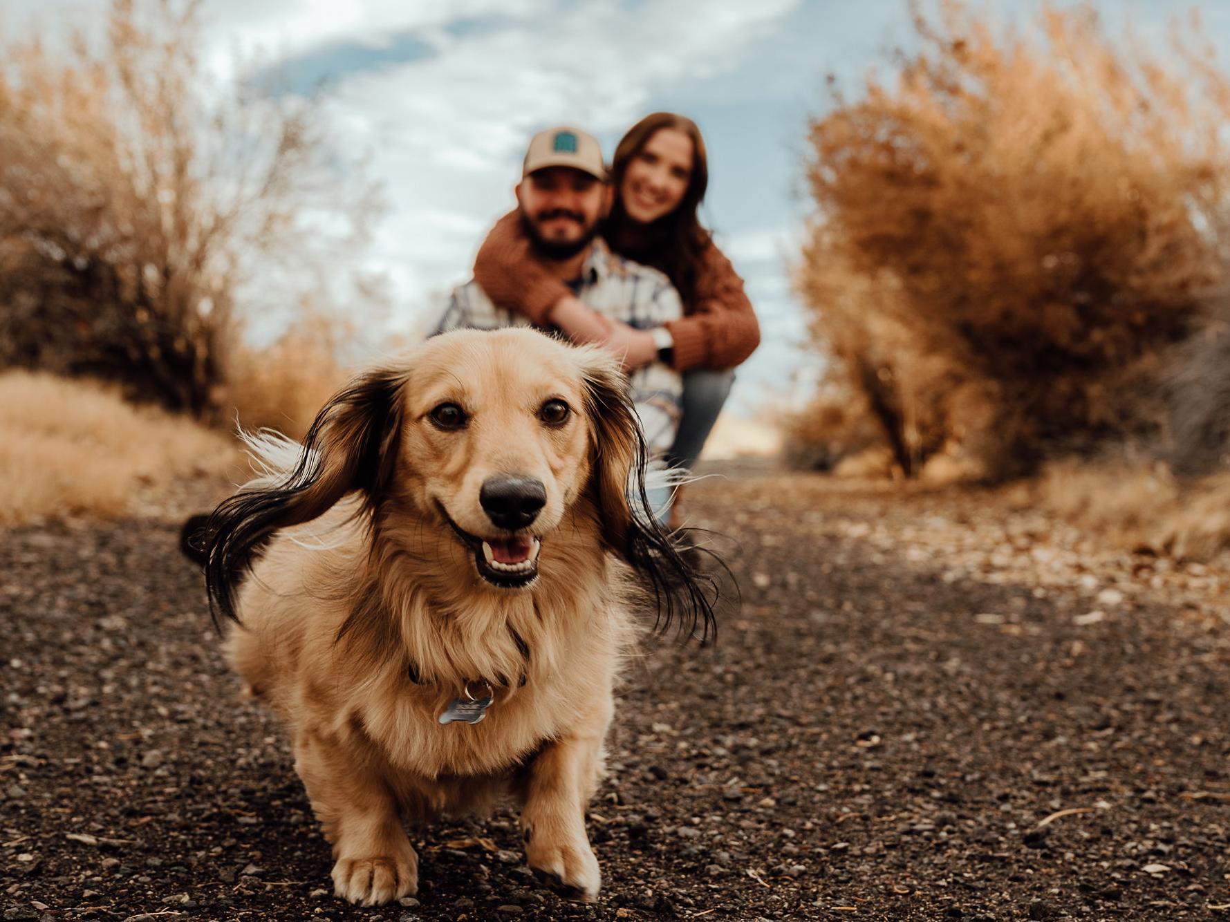 The Wedding Website of Keri Sorrels and Patrick Turner