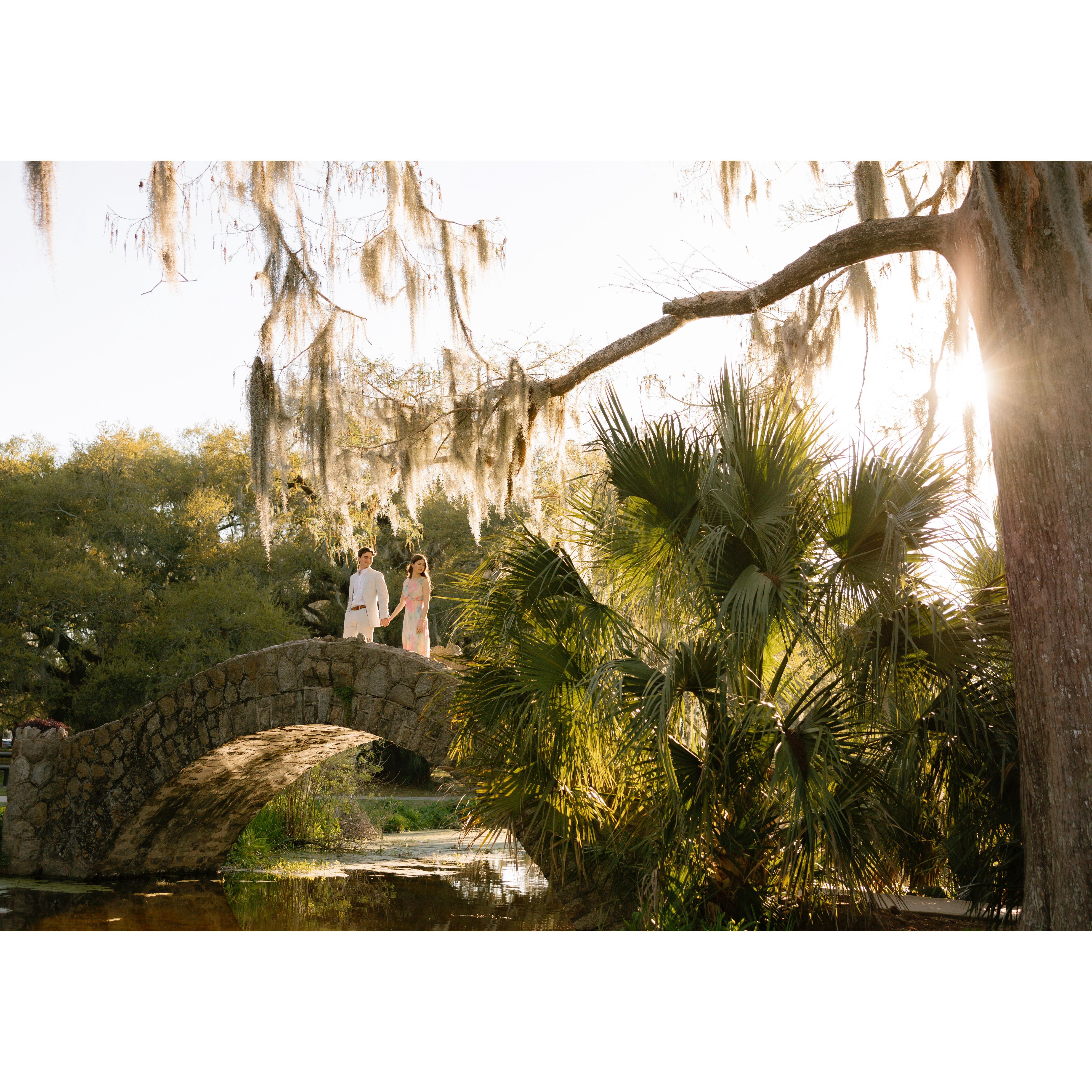 Engagement photos in City Park, New Orleans