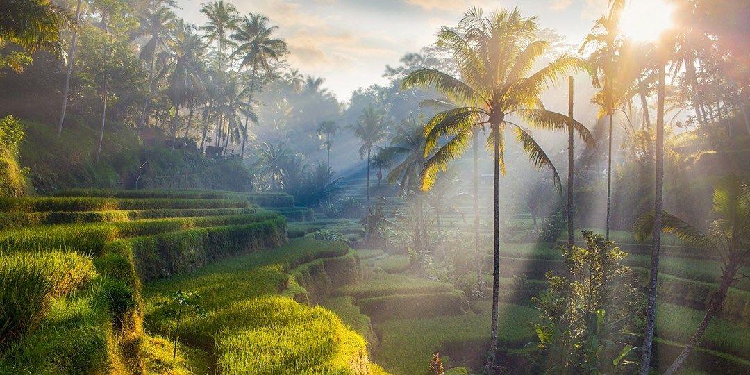 972d3e9e-0a20-4714-a3e3-e02f3327a4fe