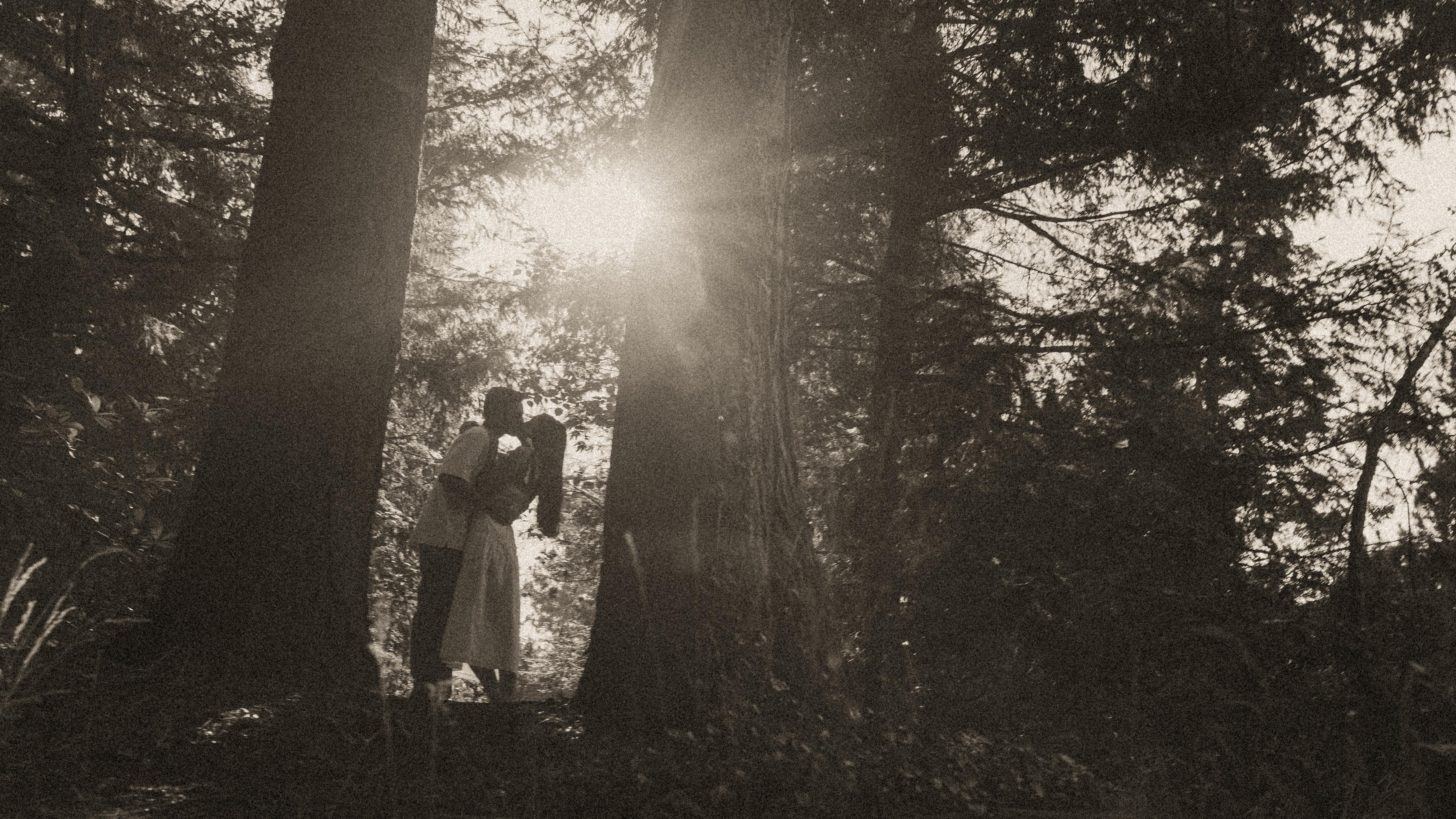 972d6632-db81-49ec-863a-21dde94b9bc3