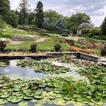 Sunken Gardens